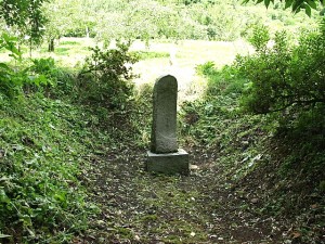 桜庭安房の墓