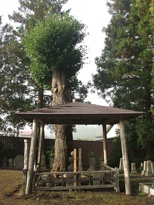 檜山御前の墓