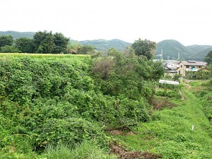 安子島城跡