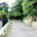 安子島城跡