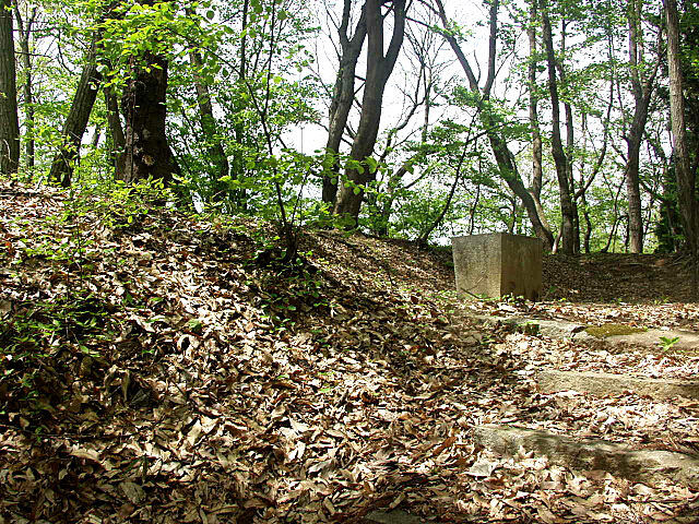 南部利直の墓