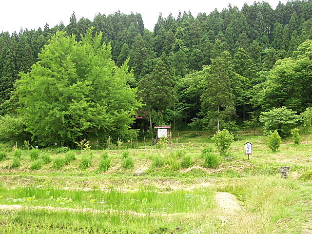 花山寺跡