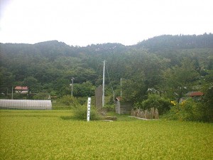 後藤寿庵の墓
