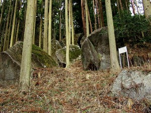 高野山の巨石