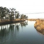 貞山運河