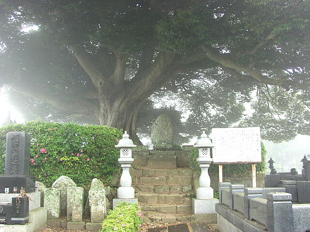 柴田親子の墓