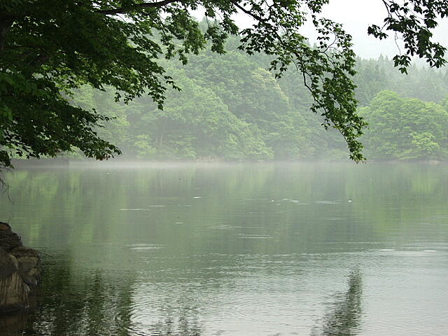 長老湖