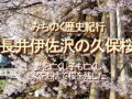 みちのく歴史紀行、長井伊佐沢の久保桜、妻を亡くし子も亡くし、家をも捨て桜を残した