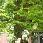 鹿島御子神社