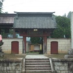 円東寺の糸桜