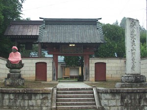 円東寺の糸桜